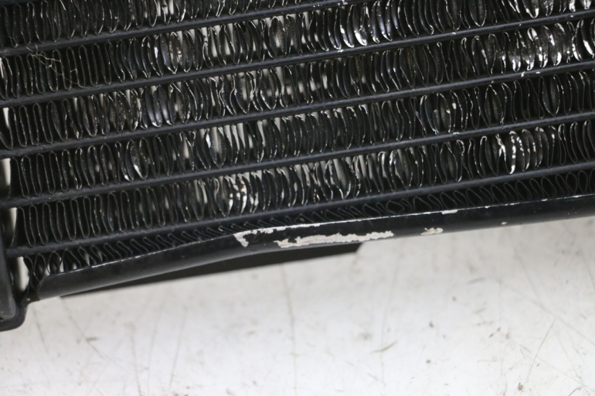 photo de RADIATEUR SUZUKI SV N 650 (1999 - 2002) - Gros plan technique