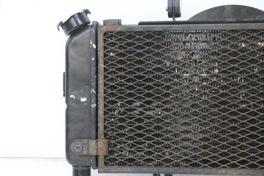 photo de RADIATEUR YAMAHA TDM ABS 900 (2002 - 2014) - Photo complémentaire