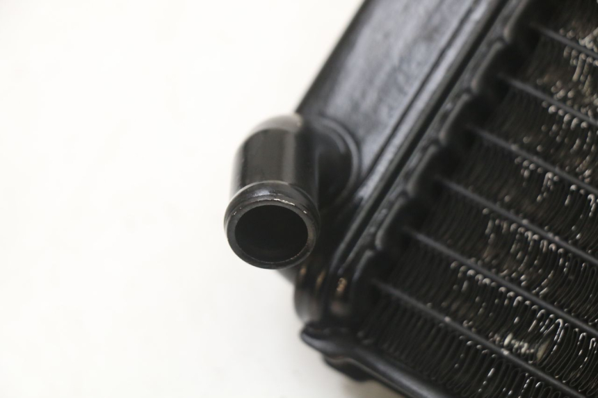 photo de RADIATEUR YAMAHA TDR DELTABOX 125 (1997 - 2003) - Détail de la pièce