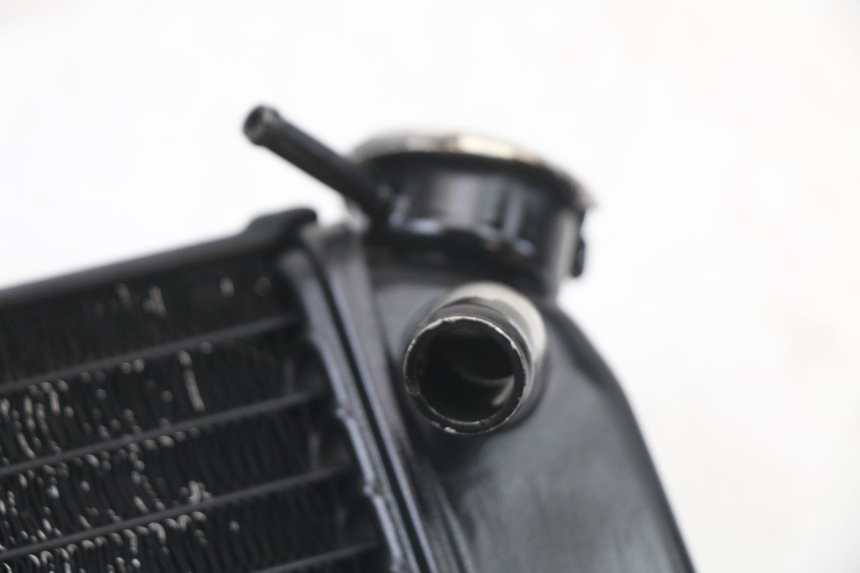 photo de RADIATEUR YAMAHA TDR DELTABOX 125 (1997 - 2003) - Zoom état d’usage