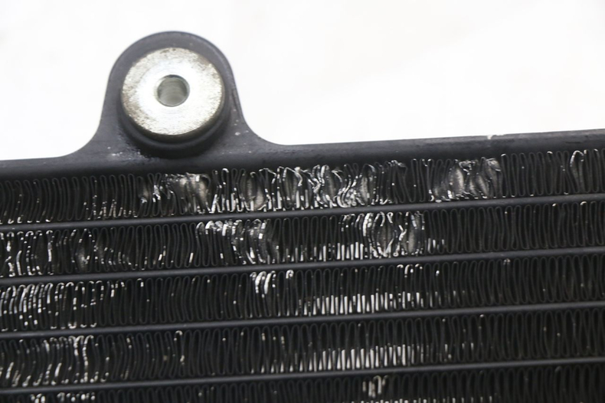 photo de RADIATEUR YAMAHA TDR DELTABOX 125 (1997 - 2003) - Points de fixation