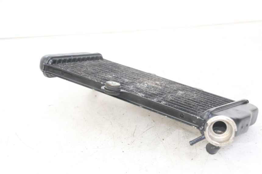 photo de RADIATEUR YAMAHA TDR DELTABOX 125 (1997 - 2003) - Vue produit