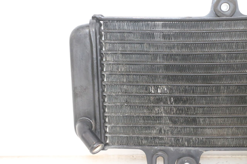 photo de RADIATEUR YAMAHA TDR DELTABOX 125 (1997 - 2003) - Inspection visuelle