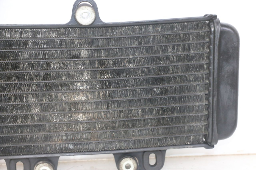 photo de RADIATEUR YAMAHA TDR DELTABOX 125 (1997 - 2003) - Gros plan technique