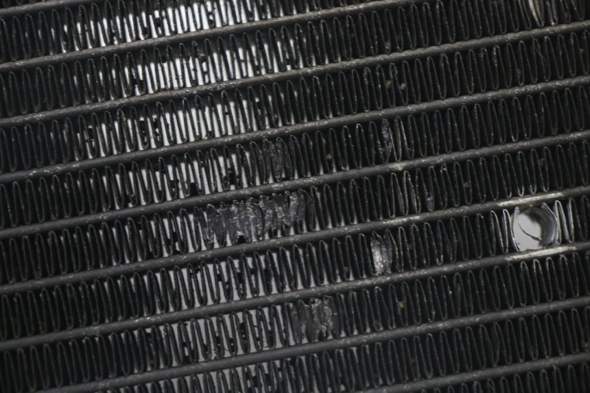 photo de RADIATEUR YAMAHA X-MAX XMAX 125 (2010 - 2013) - Zoom état d’usage