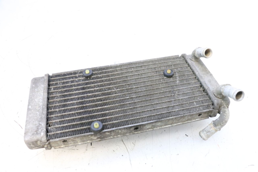 photo de RADIATEUR YAMAHA X-MAX XMAX 125 (2010 - 2013) - Zoom état d’usage