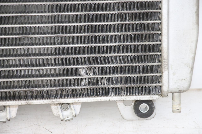 photo de RADIATEUR PIAGGIO X10 125 (2012 - 2017) - Vue d’ensemble