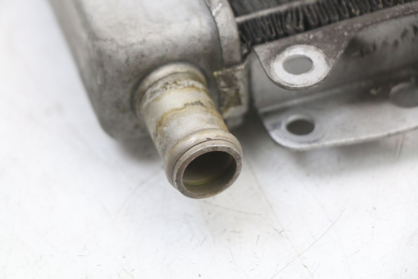 photo de RADIATEUR PIAGGIO X10 125 (2012 - 2017) - Gros plan technique