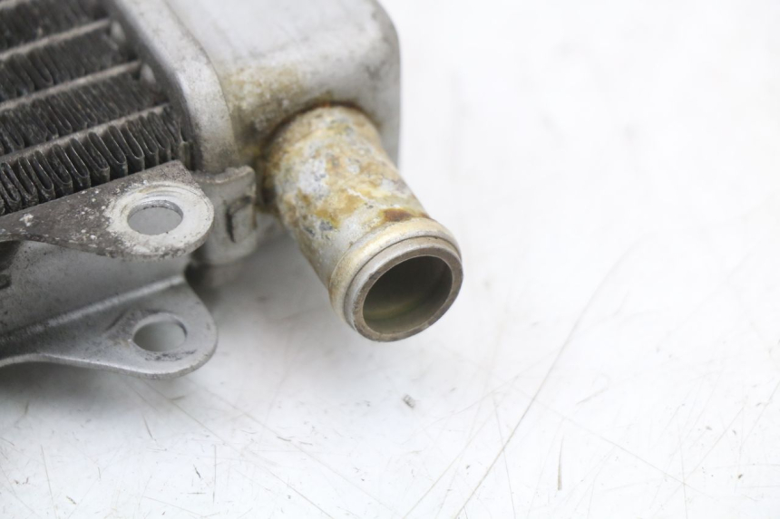 photo de RADIATEUR PIAGGIO X10 125 (2012 - 2017) - Vue d’ensemble