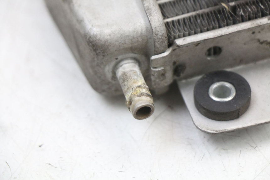 photo de RADIATEUR PIAGGIO X10 125 (2012 - 2017) - État de surface