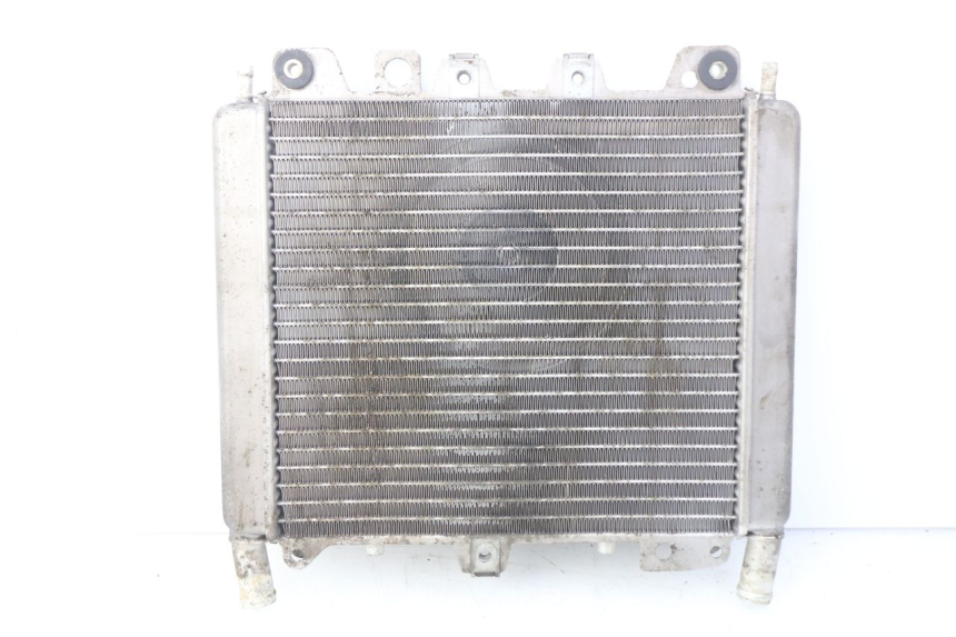 photo de RADIATEUR PIAGGIO X9 EVOLUTION 500 (2003 - 2005) - Vue principale