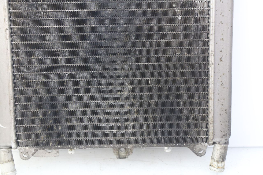 photo de RADIATEUR PIAGGIO X9 EVOLUTION 500 (2003 - 2005) - Vue d’ensemble
