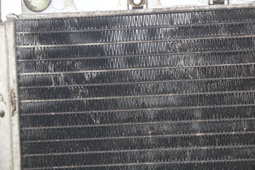 photo de RADIATEUR PIAGGIO X9 EVOLUTION 250 (2003 - 2007) - Détails caractéristiques