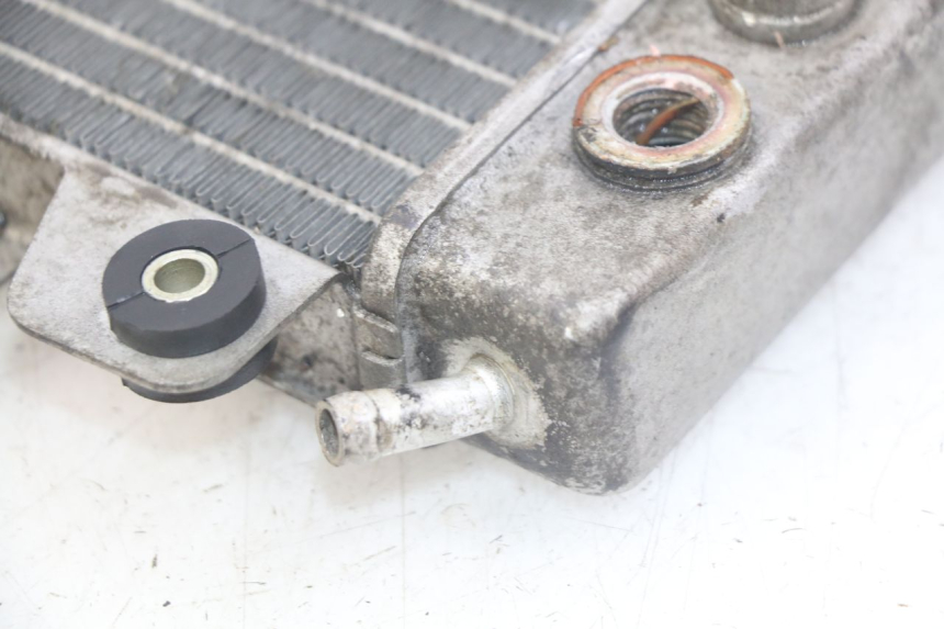 photo de RADIATEUR PIAGGIO X9 EVOLUTION 250 (2003 - 2007) - Vue d’ensemble