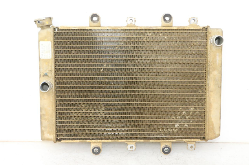 photo de RADIATEUR YAMAHA YFM GRIZZLY 550 (2008 - 2015) - Vue principale
