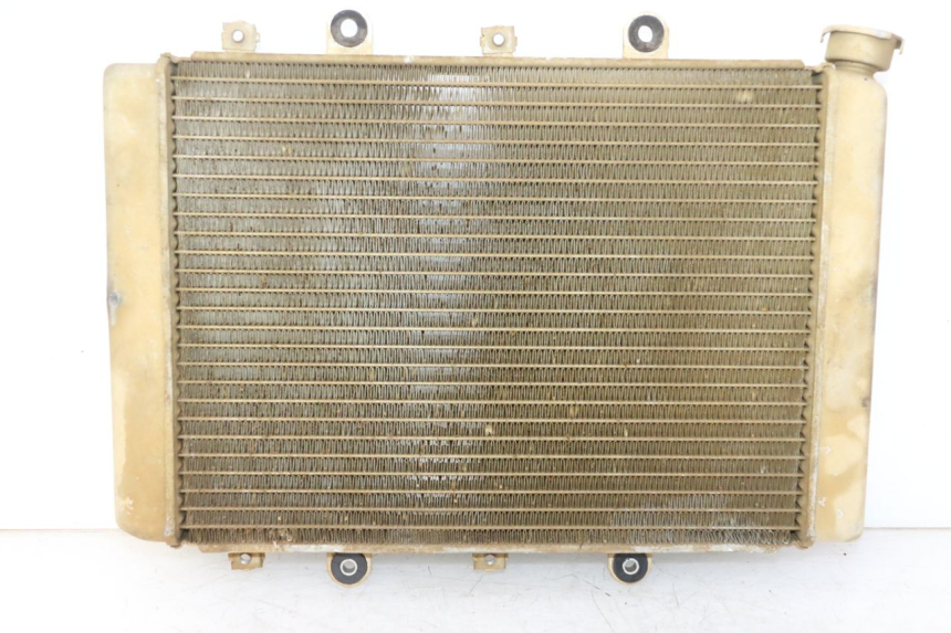 photo de RADIATEUR YAMAHA YFM GRIZZLY 550 (2008 - 2015) - Vue produit