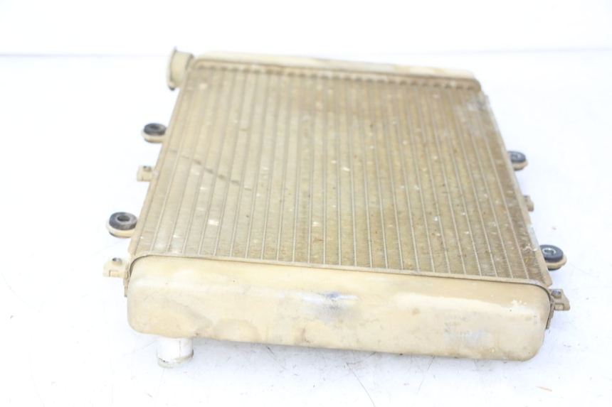 photo de RADIATEUR YAMAHA YFM GRIZZLY 550 (2008 - 2015) - Gros plan technique