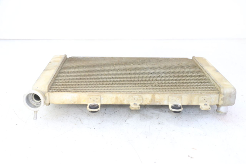 photo de RADIATEUR YAMAHA YFM GRIZZLY 550 (2008 - 2015) - Vue d’ensemble