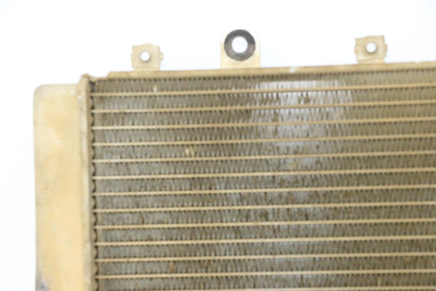 photo de RADIATEUR YAMAHA YFM GRIZZLY 550 (2008 - 2015) - Marquages et références
