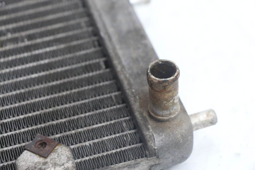 photo de RADIATEUR YAMAHA YP MAJESTY 125 (1998 - 2001) - Vue d’ensemble