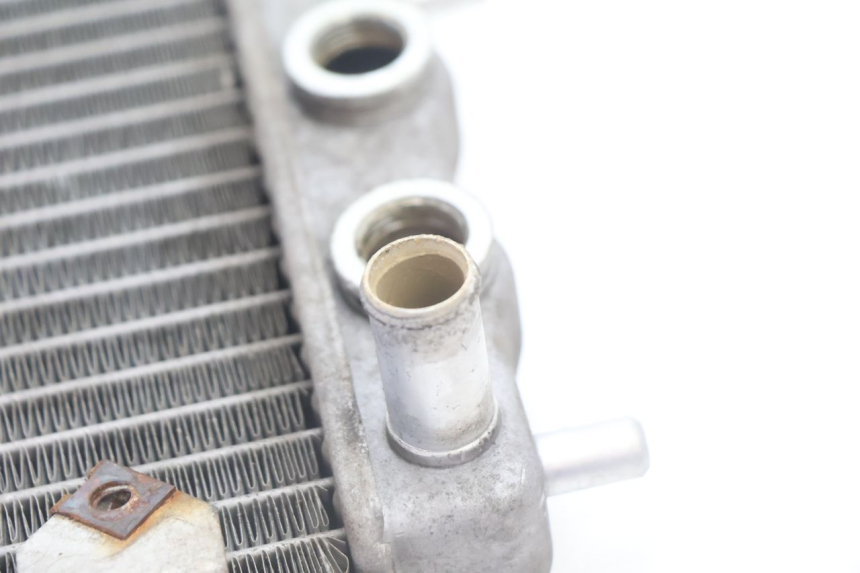 photo de RADIATEUR YAMAHA YP MAJESTY 125 (2007 - 2010) - Vue d’ensemble