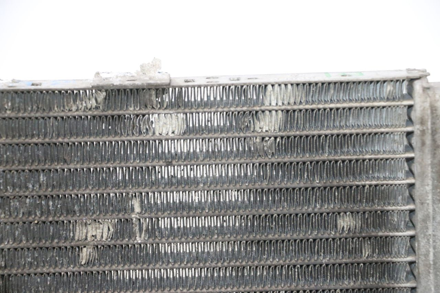 photo de RADIATEUR YAMAHA YP MAJESTY 125 (2002 - 2006) - Photo complémentaire