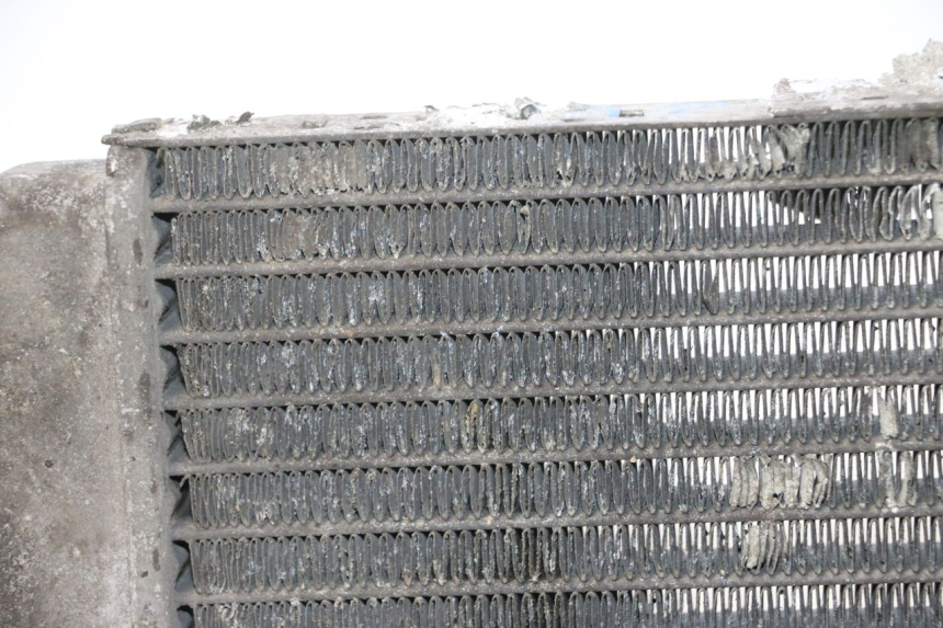 photo de RADIATEUR YAMAHA YP MAJESTY 125 (2002 - 2006) - Inspection visuelle