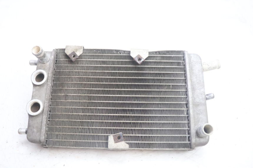 photo de RADIATEUR YAMAHA YP MAJESTY 125 (2002 - 2006) - Vue principale
