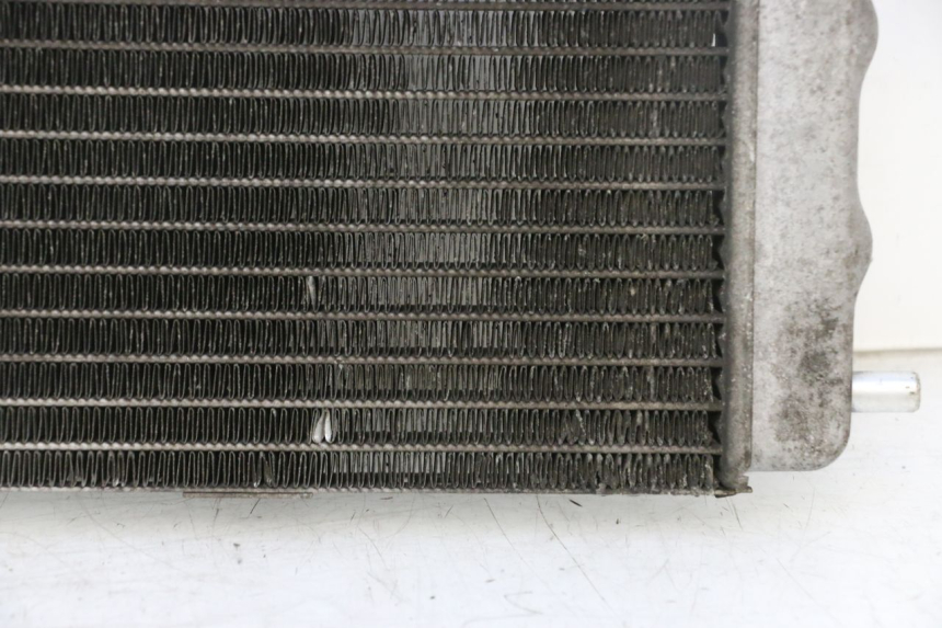 photo de RADIATEUR YAMAHA YP MAJESTY 125 (2002 - 2006) - Autre angle de vue
