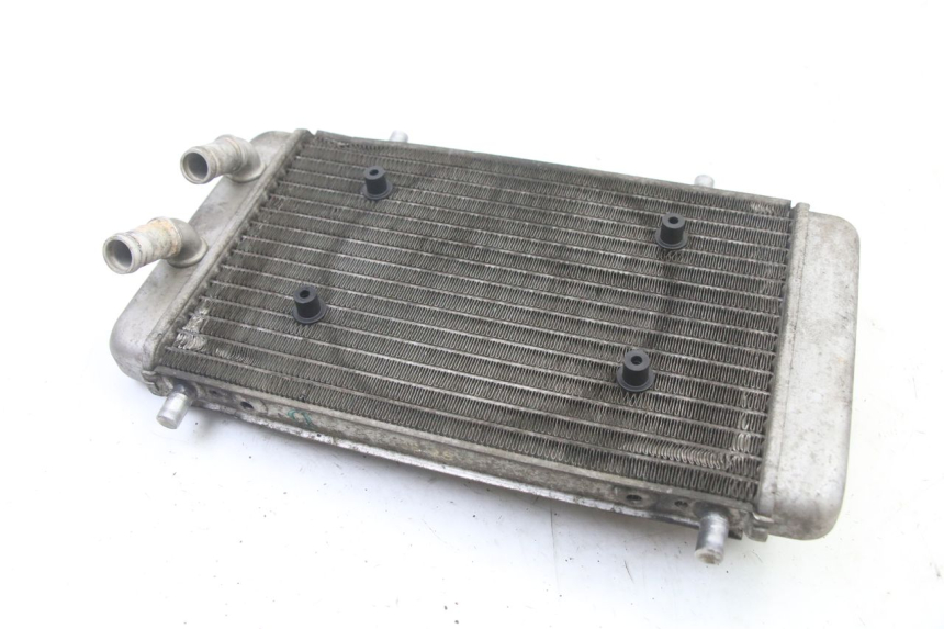 photo de RADIATEUR YAMAHA YP X-MAX XMAX 400 (2014 - 2017) - Zoom état d’usage