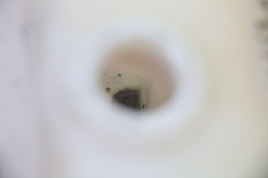 photo de RÉSERVOIR HUILE MBK BOOSTER SPIRIT 50 (2004 - 2017) - Zoom état d’usage