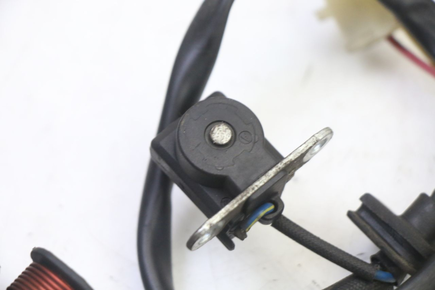 photo de ROTOR STATOR ORCAL CAVARO 4T 50 (2019 - 2023) - Vue d’ensemble