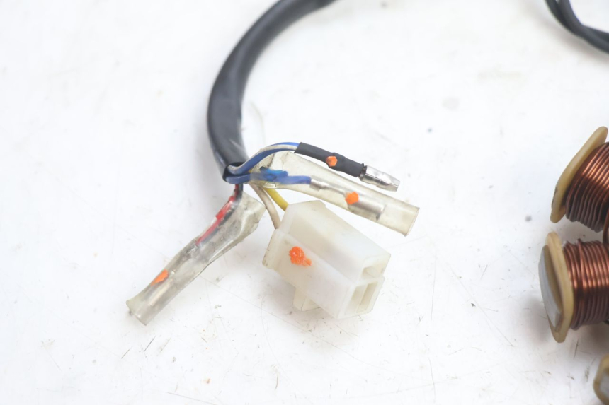 photo de ROTOR STATOR MASH CITY 4T 50 (2018 - 2020) - Vue produit