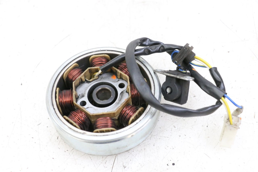 photo de ROTOR STATOR LONGJIA DIGITA 4T 50 (2019 - 2022) - Zoom état d’usage