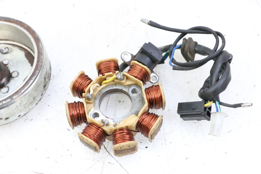 photo de ROTOR STATOR JM MOTORS EVOLIS 4T 50 (2018 - 2022) - Zoom état d’usage