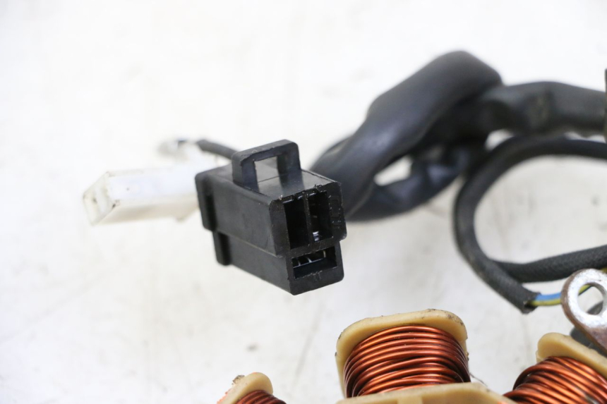 photo de ROTOR STATOR JM MOTORS EVOLIS 4T 50 (2018 - 2022) - Vue d’ensemble