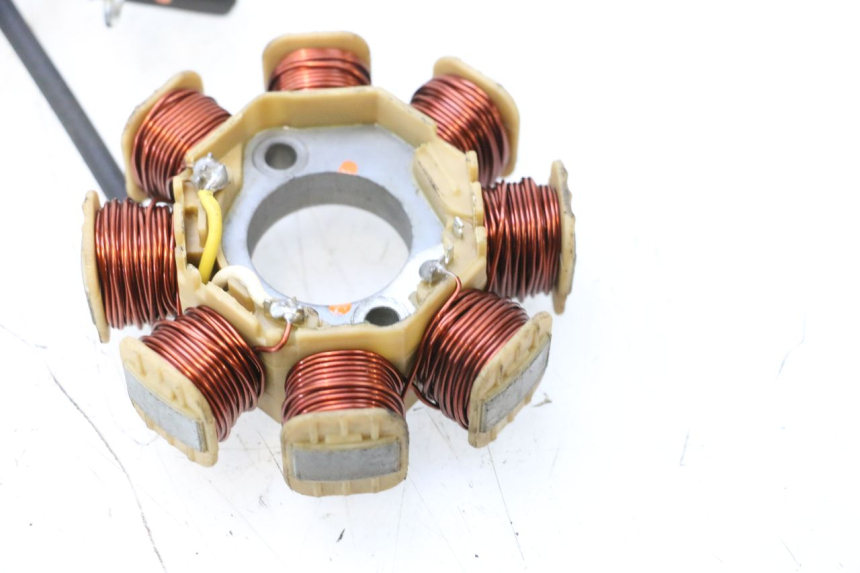 photo de ROTOR STATOR JM MOTORS EVOLIS 4T 50 (2018 - 2022) - Vue d’ensemble