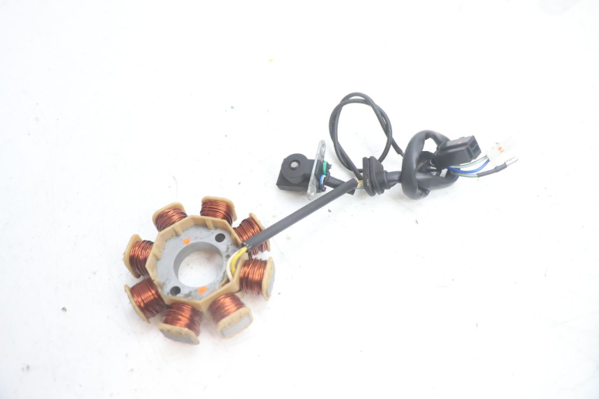 photo de ROTOR STATOR JM MOTORS EVOLIS 4T 50 (2018 - 2022) - Points de fixation