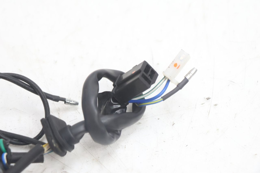 photo de ROTOR STATOR JM MOTORS EVOLIS 4T 50 (2018 - 2022) - Marquages et références