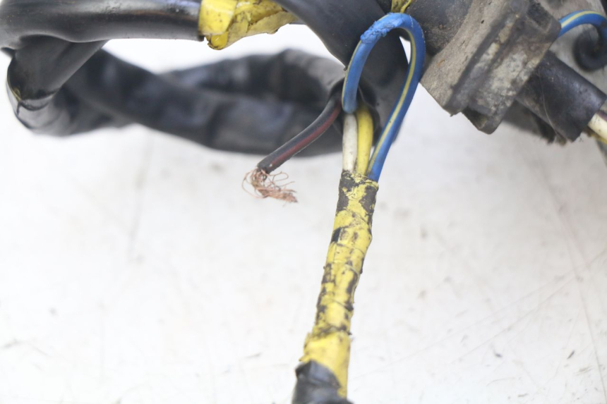 photo de ROTOR STATOR PEUGEOT LUDIX 50 (2005 - 2007) - Vue d’ensemble