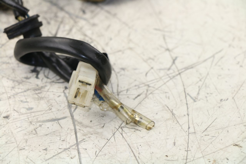 photo de ROTOR STATOR ZNEN NEW ROLANDO 50 (2010 - 2020) - Autre angle de vue