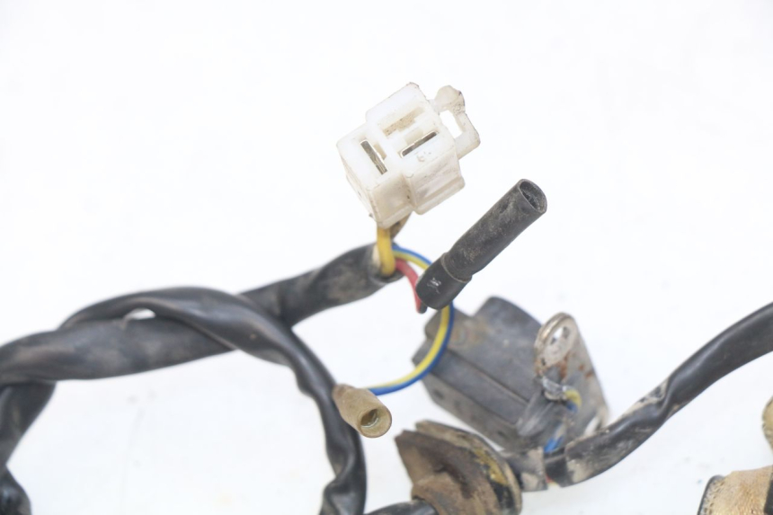 photo de ROTOR STATOR JM MOTORS OLDIES 4T 50 (2010 - 2020) - Zoom état d’usage