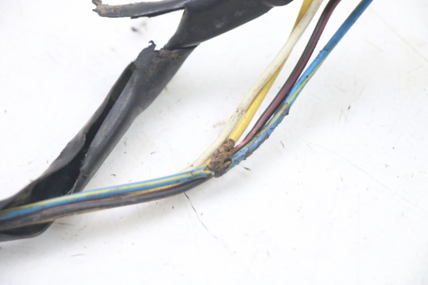 photo de ROTOR STATOR PEUGEOT TKR TREKKER FURIOUS 50 (2005 - 2014) - Zoom composants