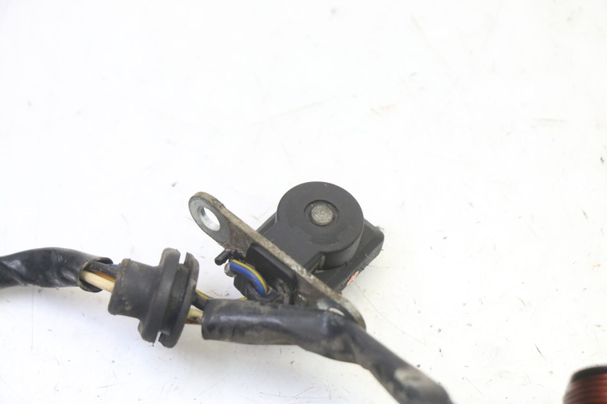 photo de ROTOR STATOR PGO RODOSHOW 2T 50 (2003 - 2007) - Vue d’ensemble