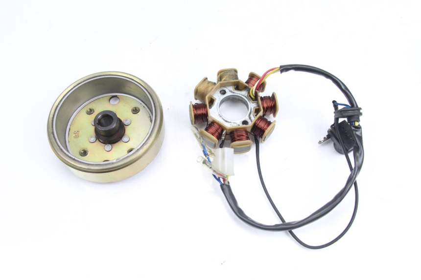 photo de ROTOR STATOR TNT MOTOR ROMA 10' 4T 50 (2007 - 2018) - Zoom état d’usage