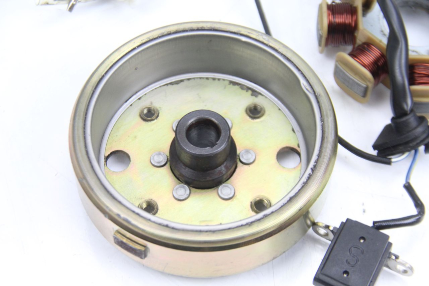 photo de ROTOR STATOR TNT MOTOR ROMA 10' 4T 50 (2007 - 2018) - Gros plan technique