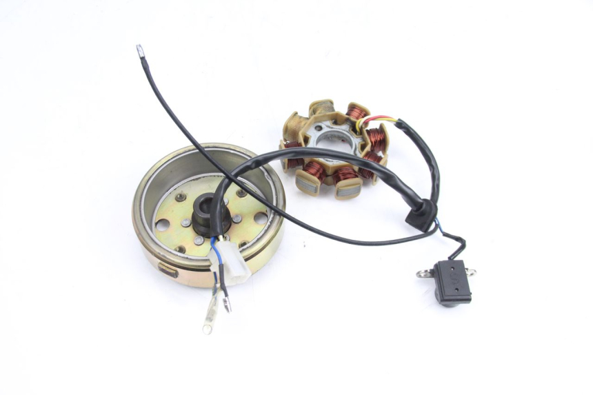 photo de ROTOR STATOR TNT MOTOR ROMA 10' 4T 50 (2007 - 2018) - Vue d’ensemble