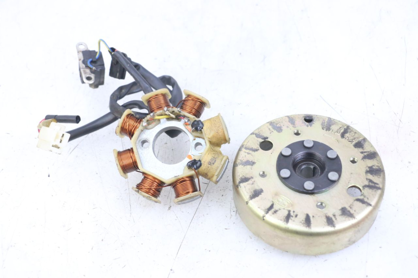 photo de ROTOR STATOR TNT MOTOR ROMA 10' 4T 50 (2007 - 2018) - Vue principale