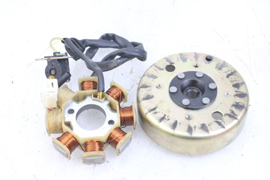 photo de ROTOR STATOR TNT MOTOR ROMA 10' 4T 50 (2007 - 2018) - Zoom état d’usage