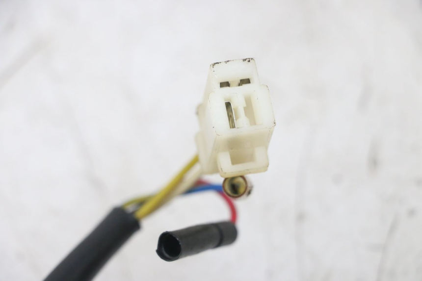 photo de ROTOR STATOR TNT MOTOR ROMA 10' 4T 50 (2007 - 2018) - Autre angle de vue